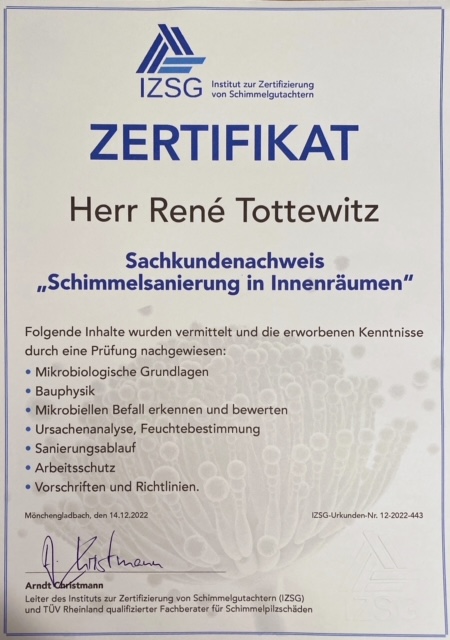 Fachgerechte Schimmelsanierung in einem Innenraum